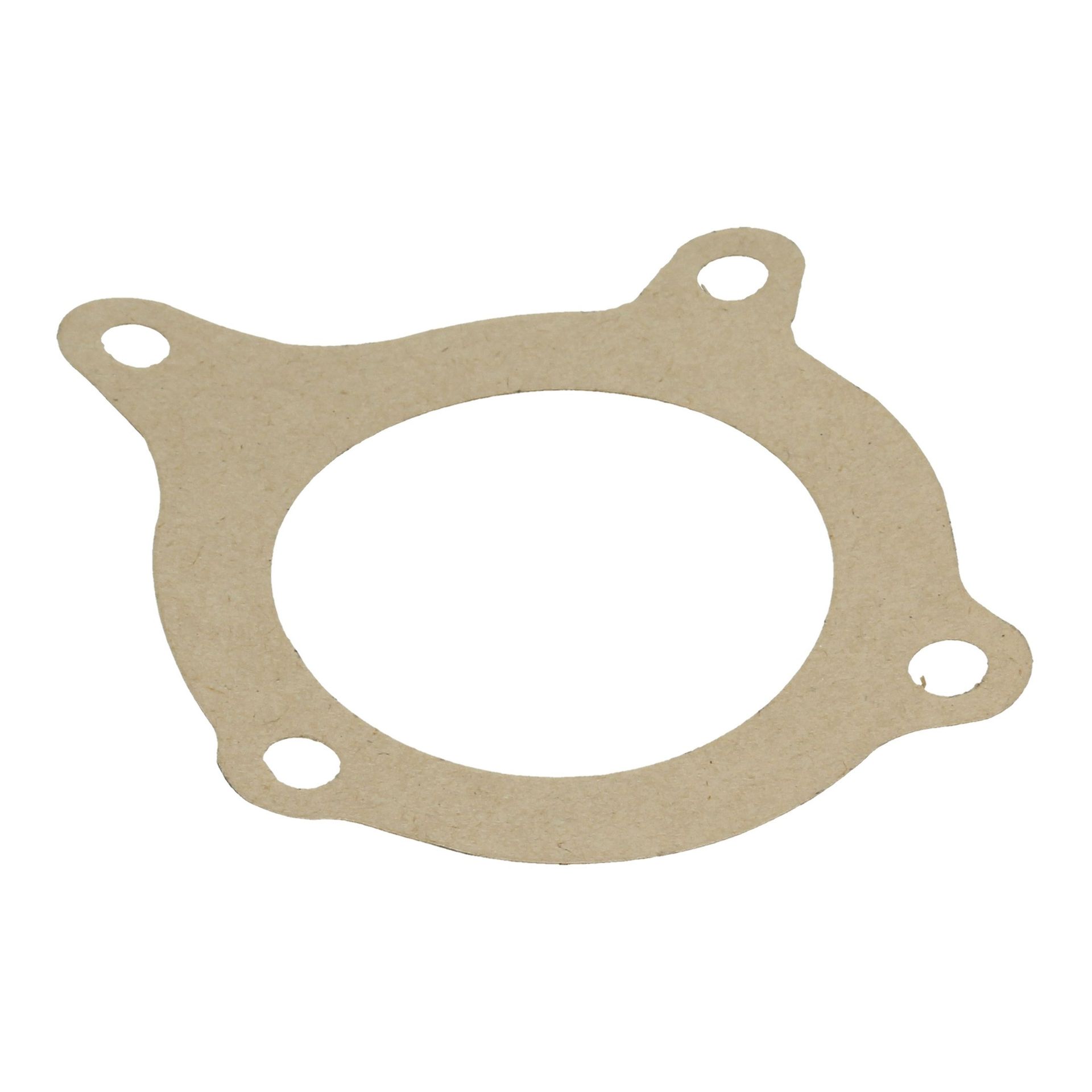 Water Pump Small Gasket 250 Early