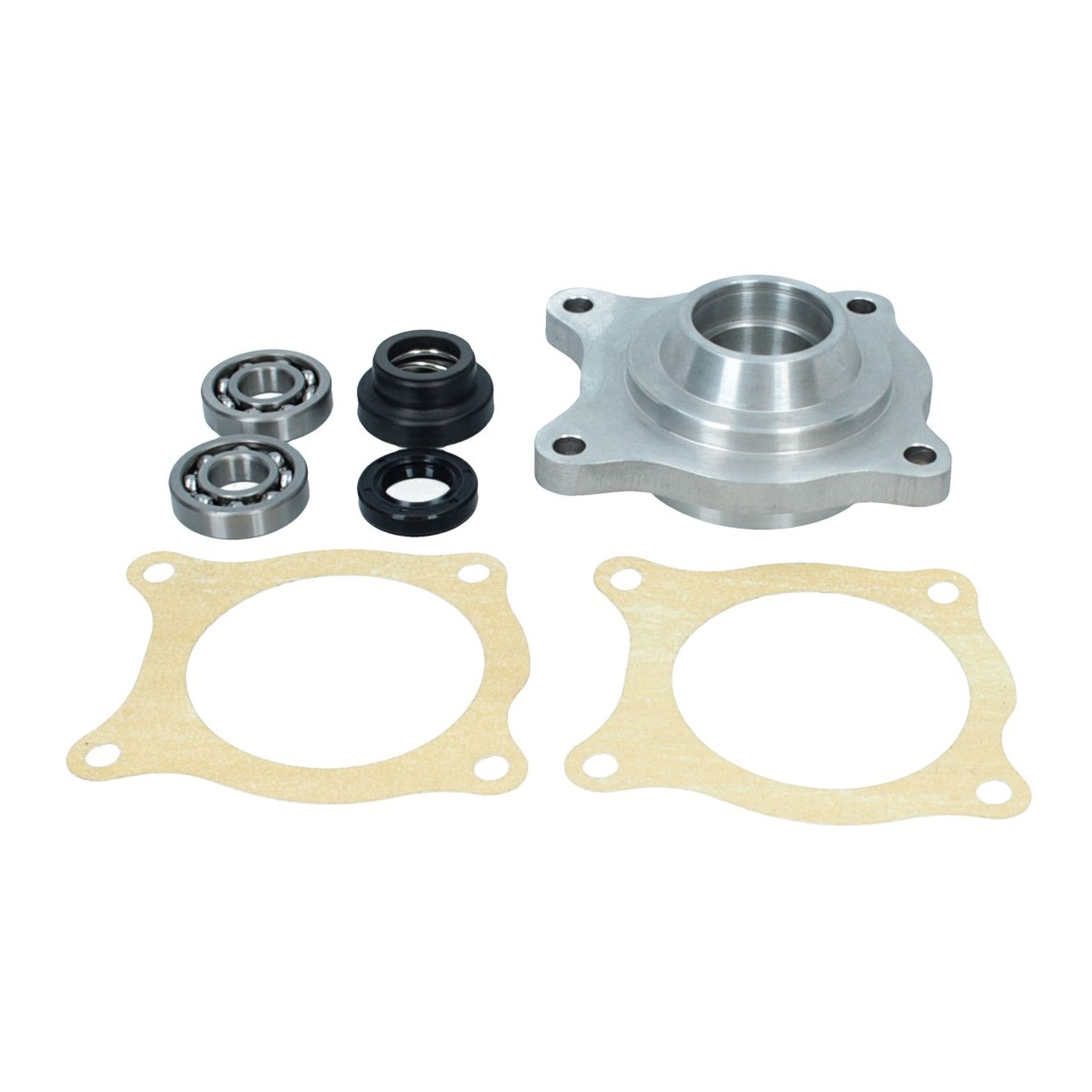 Water Pump Repair Kit Large 250,275