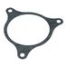 Water Pump Gasket 365