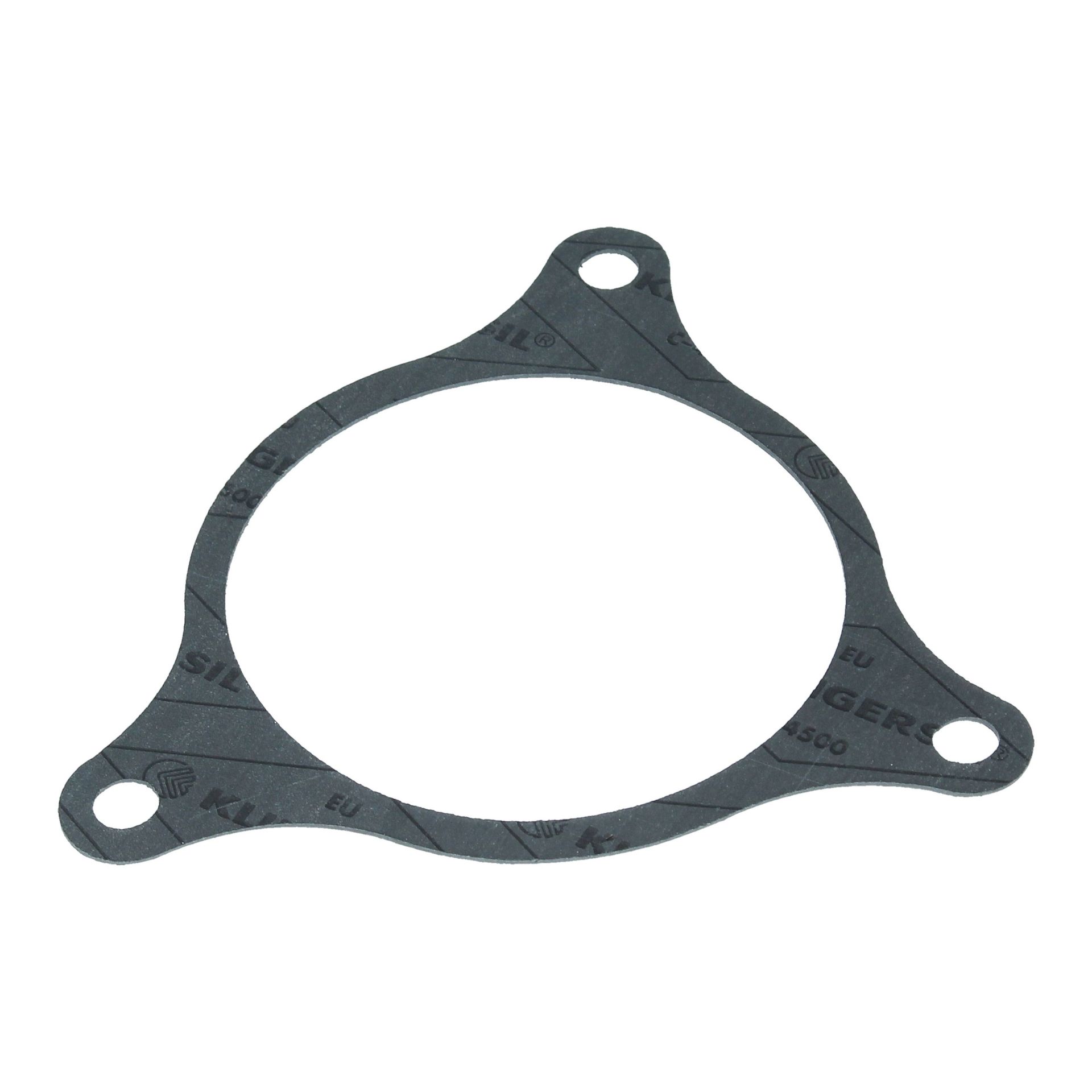 Water Pump Gasket 365