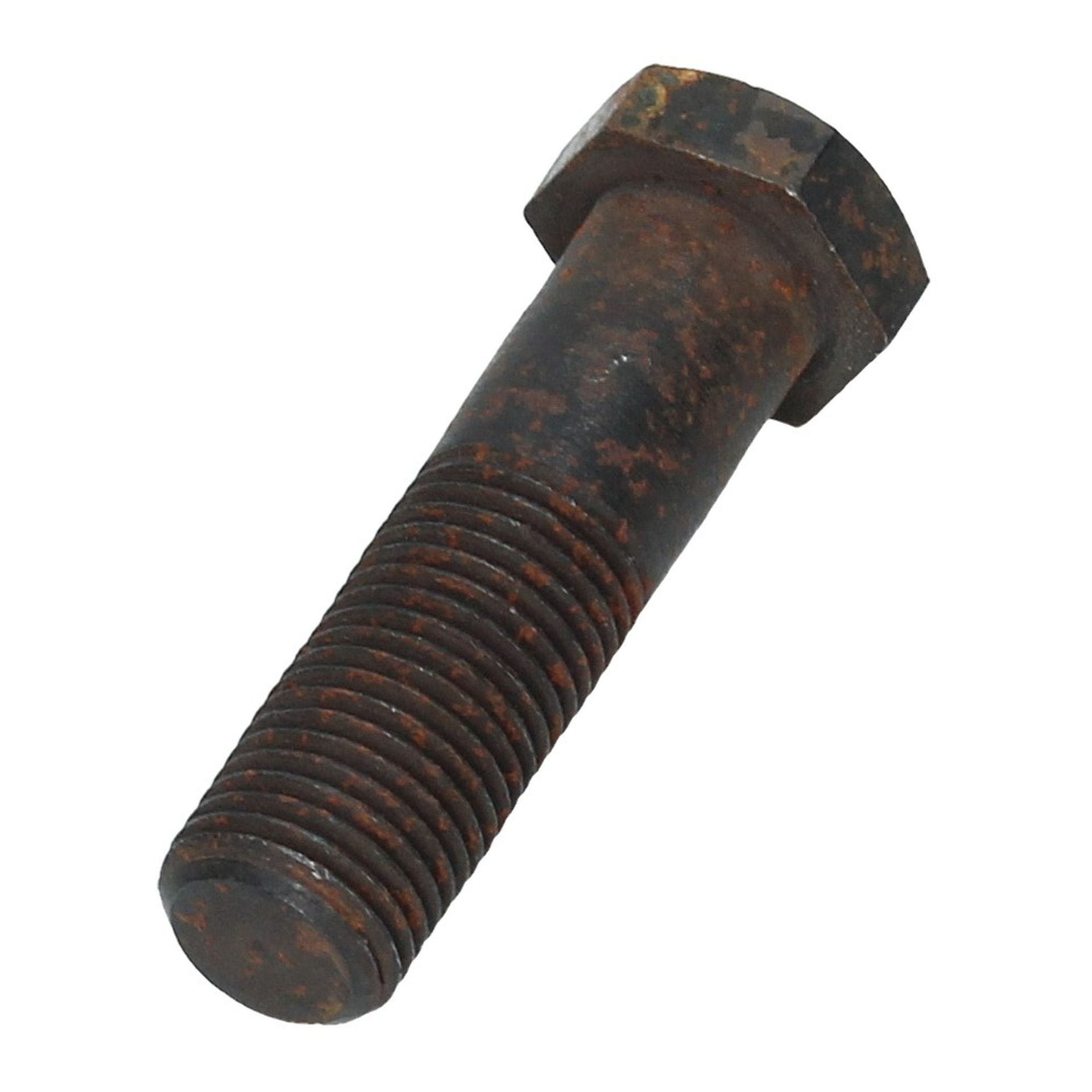 Radiator Mounting Bolt