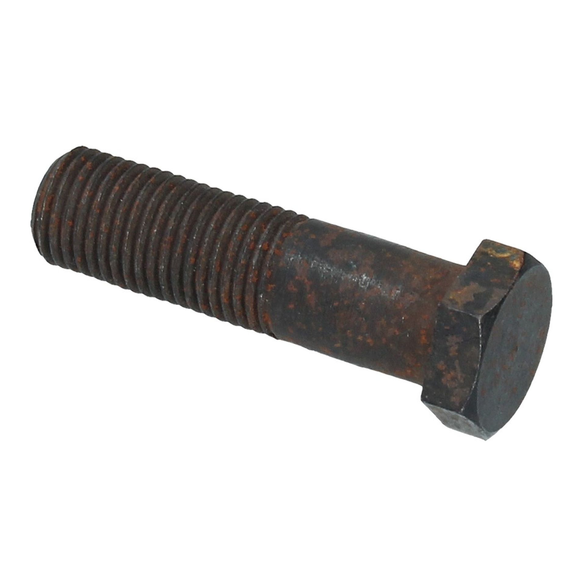 Radiator Mounting Bolt