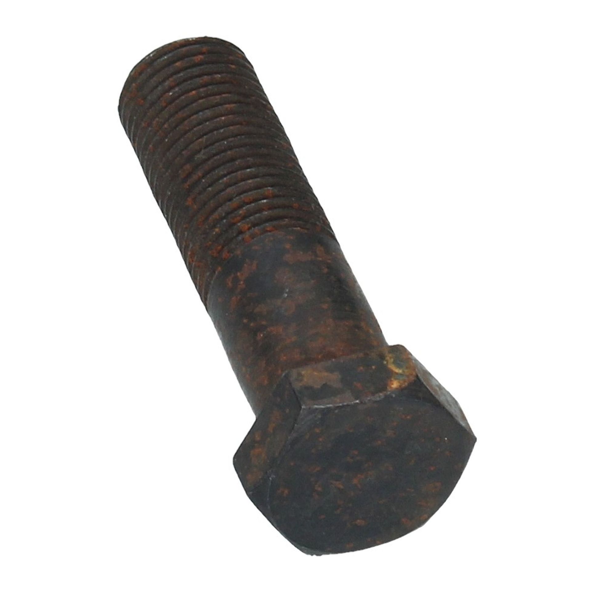 Radiator Mounting Bolt