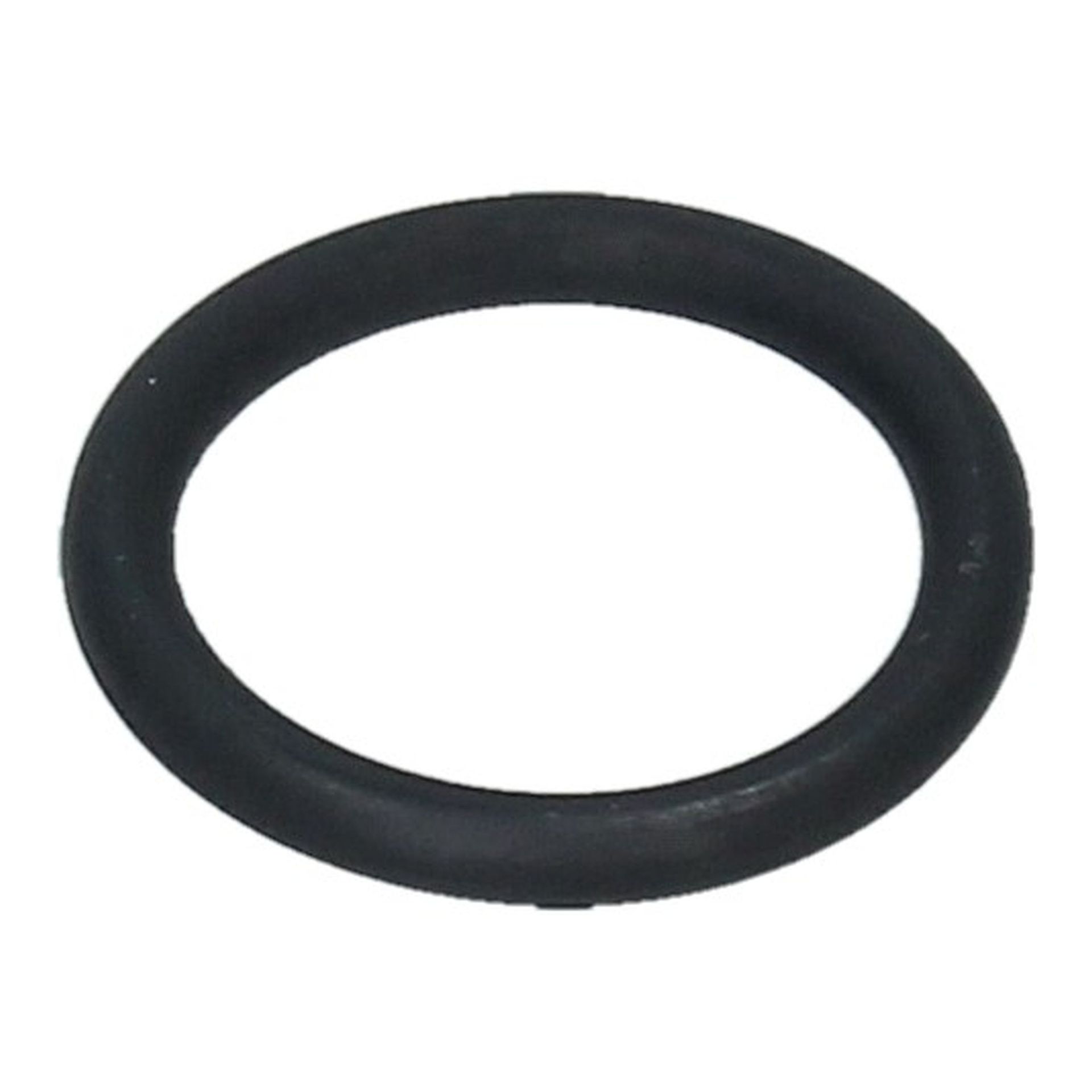 Ht Lead O Ring 19x3