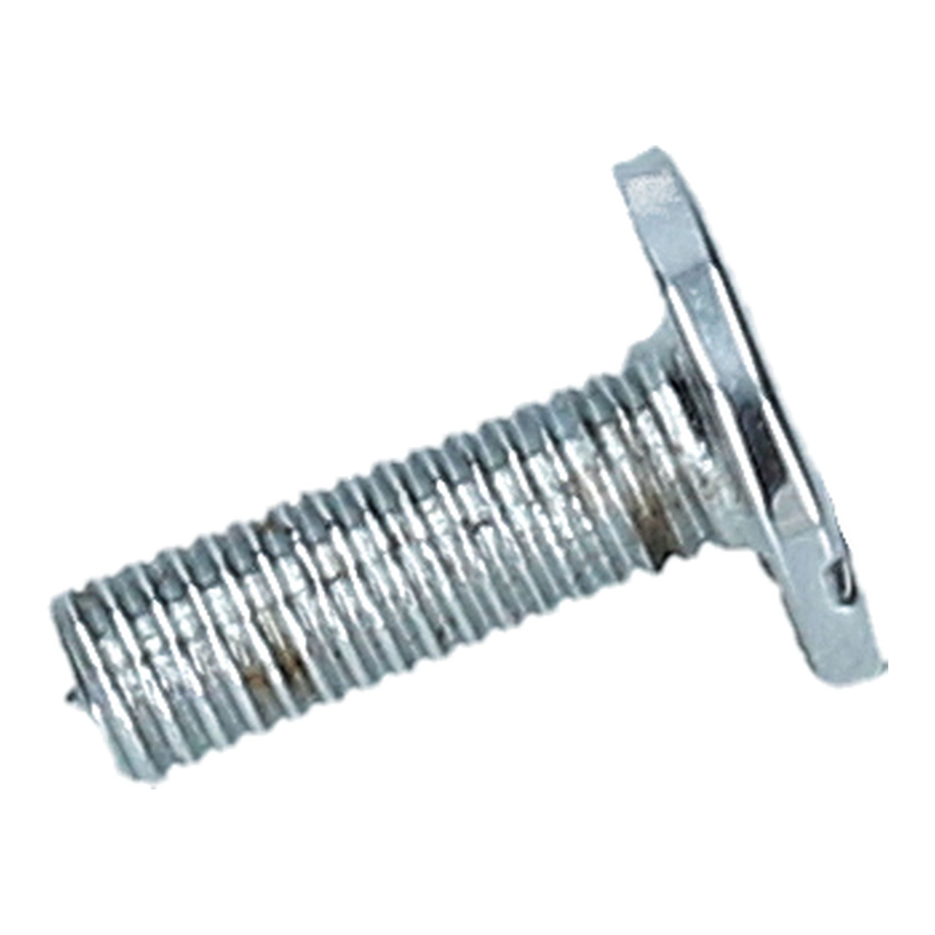 Bonnet Strap Screws
