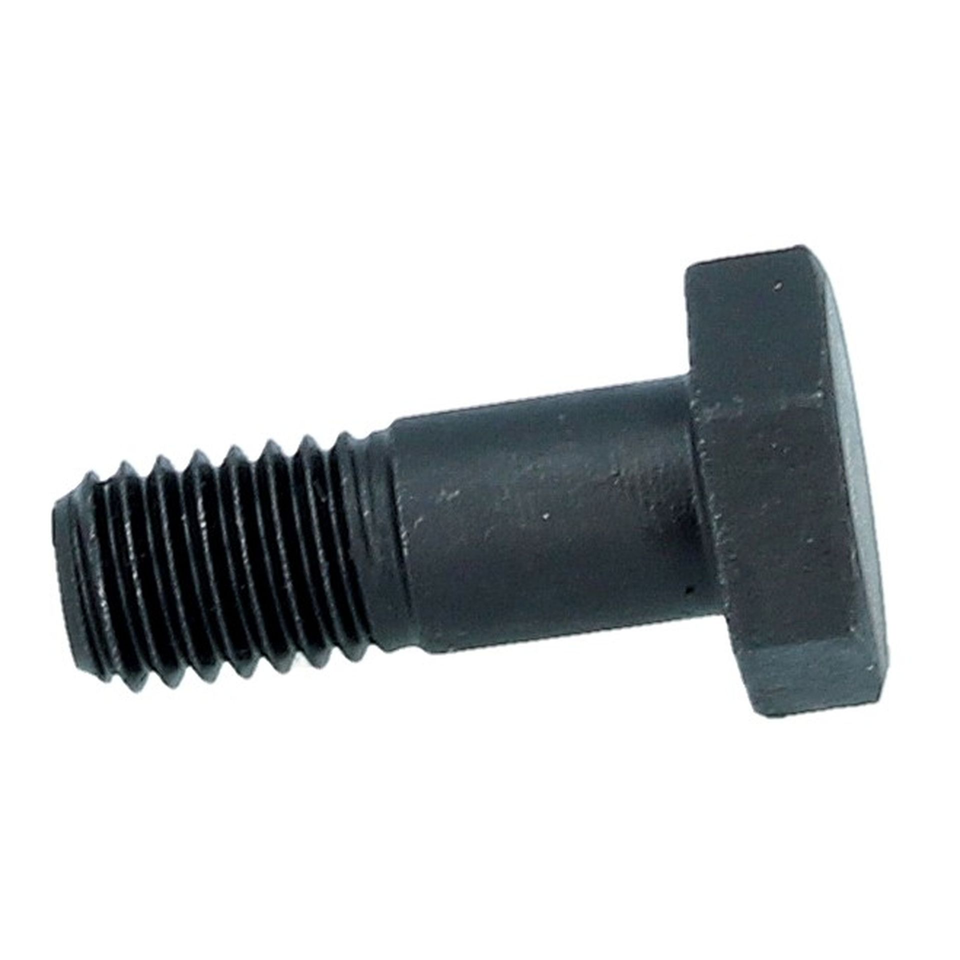 Front Hub Dust Shield Bolt