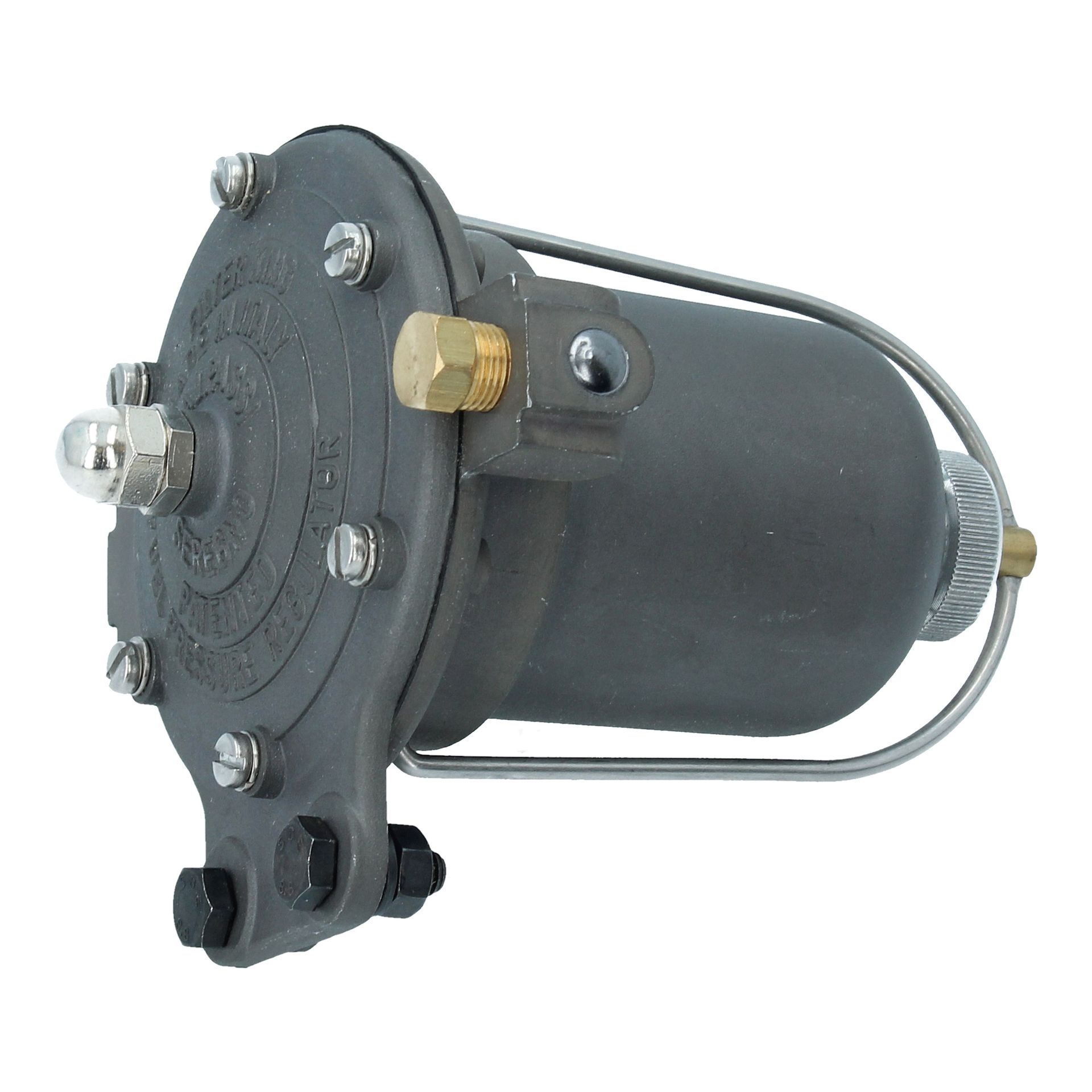 Facet Fuel Pump (Silver Top)