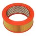 Air Filter Element 250