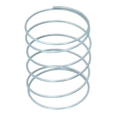 Fuel Pump Spring