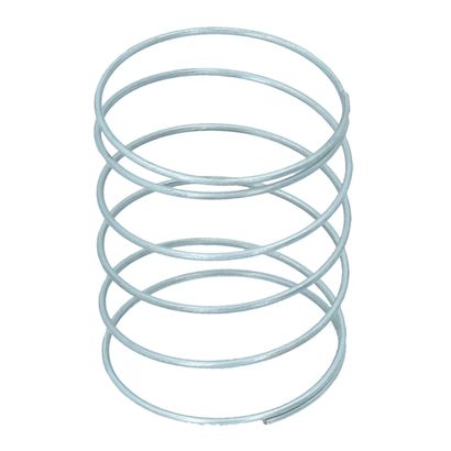 Fuel Pump Spring
