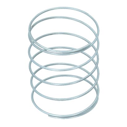 Fuel Pump Spring