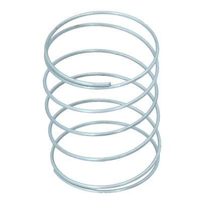 Fuel Pump Spring