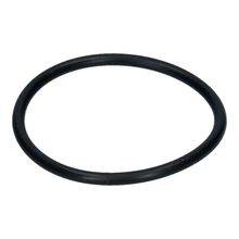 Inlet Manifold O-Ring (49mm ID) 365 (Suitable for Angle Drive)