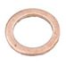 Pump Jet Gasket (Crush Washer)