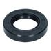 Input/Output Shaft Seal 250 (30x52x10)R23