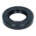 Input/Output Shaft Seal 250 (30x52x10)R23