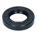 Input/Output Shaft Seal 250 (30x52x10)R23