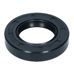 Input/Output Shaft Seal 250 (30x52x10)R23