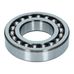 Rear Tailshaft Bearing 250