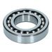 Rear Tailshaft Bearing 250