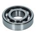 Rear Layshaft Bearing 30/72/19 250