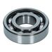 Rear Layshaft Bearing 30/72/19 250