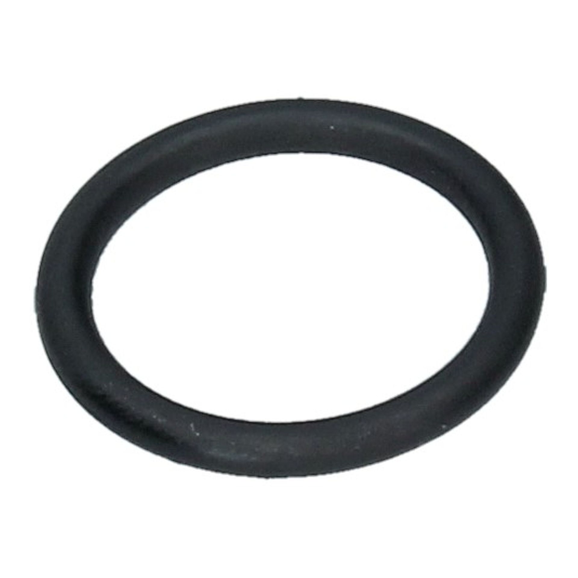 O Ring 19x2.6