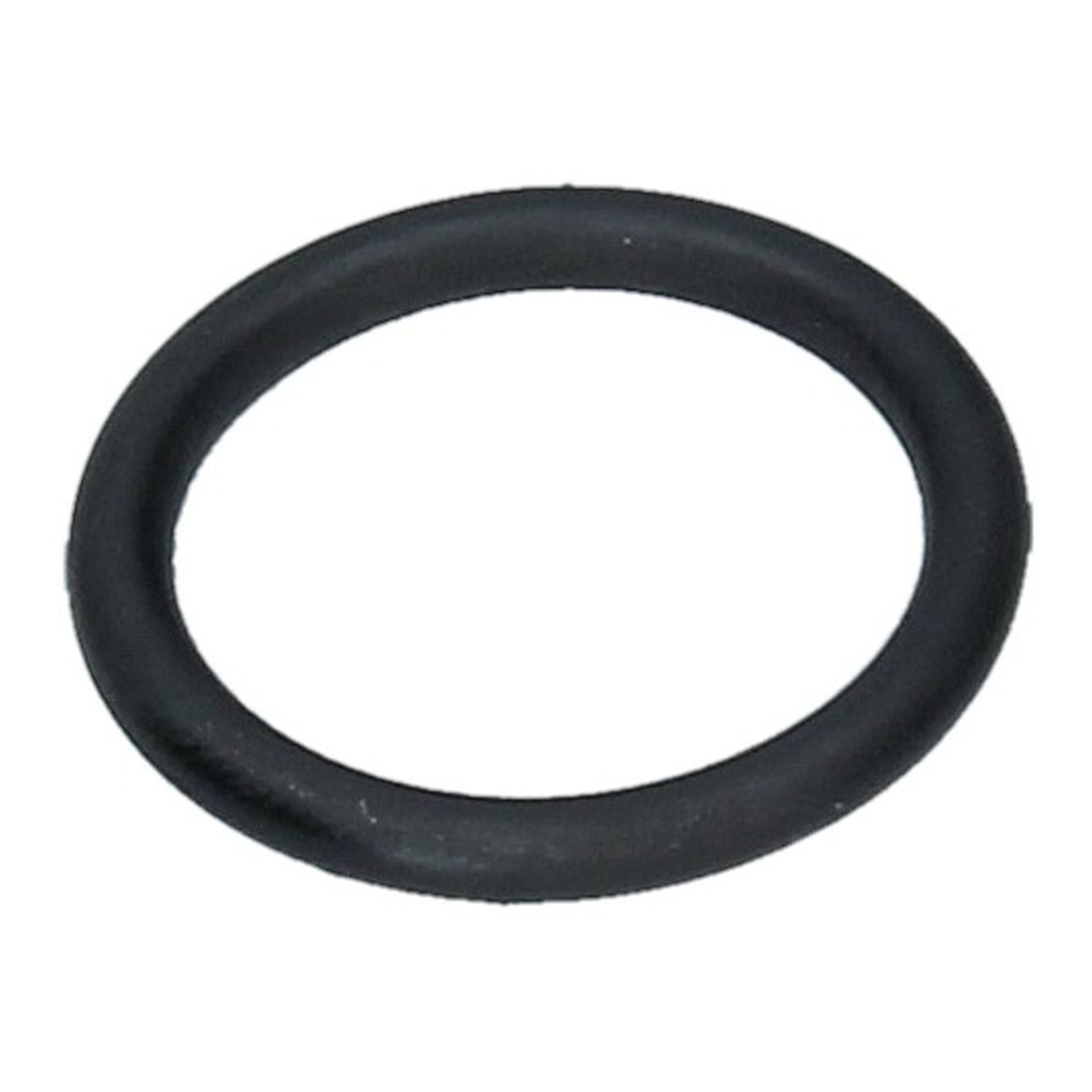 O Ring 19x2.6