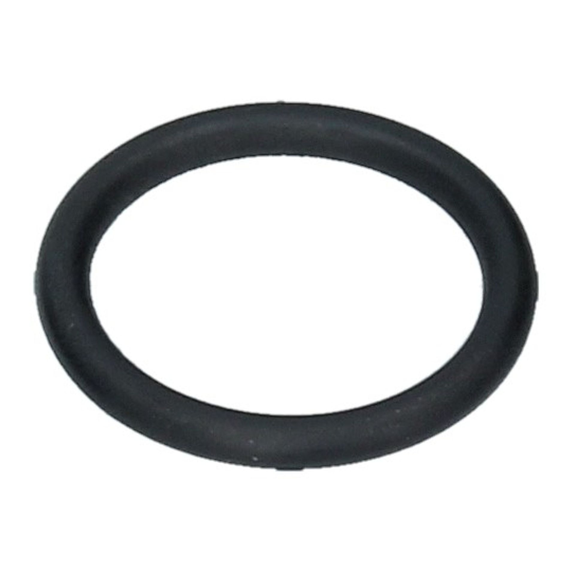 O Ring 19x2.6