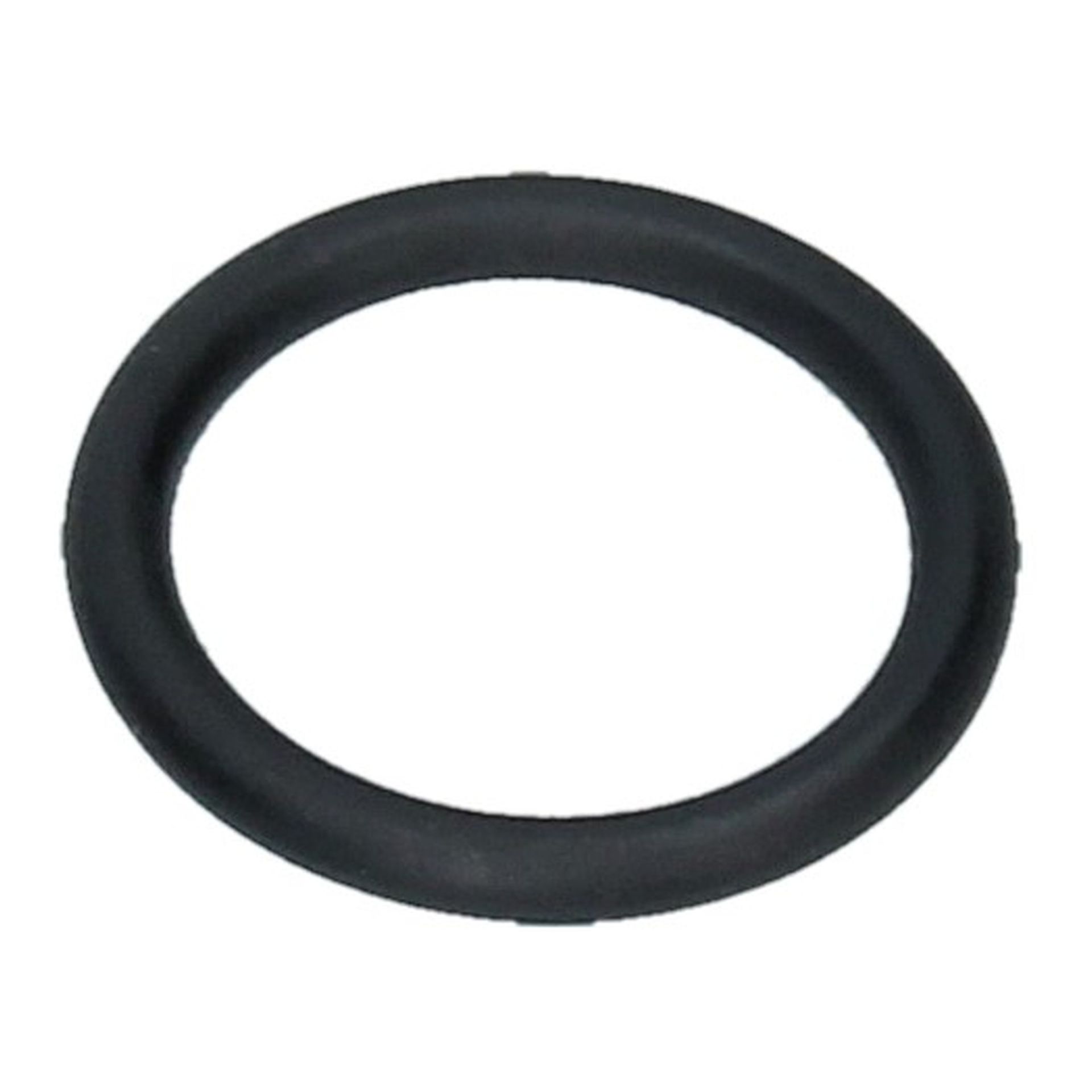 O Ring 19x2.6