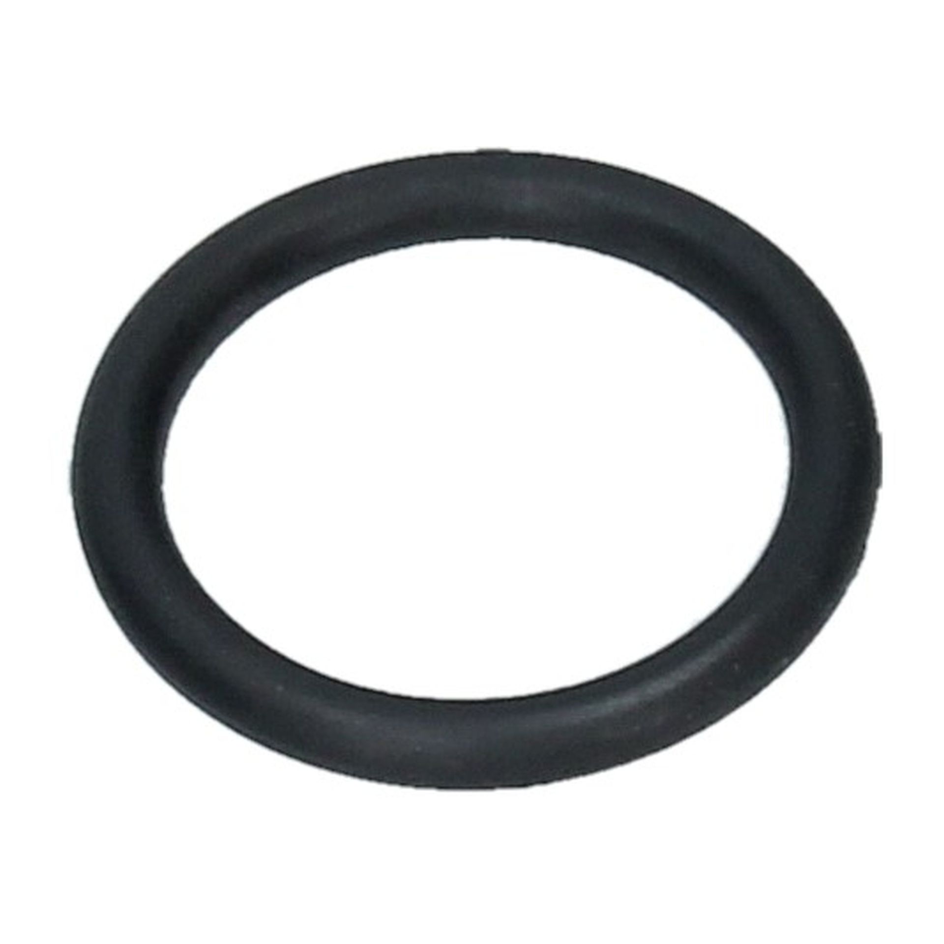 O Ring 19x2.6