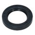 Oil Seal R21 38x60x10