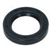 Oil Seal R21 38x60x10