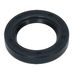 Oil Seal R21 38x60x10