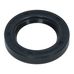 Oil Seal R21 38x60x10