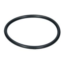 O-Ring OR156 365