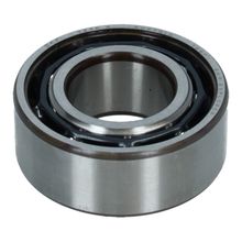 Differential Nose Bearing 166