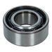 Differential Nose Bearing 166