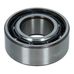 Differential Nose Bearing 166