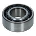 Differential Nose Bearing 166