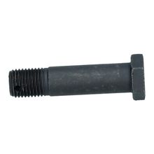 Rear Trailing Arm Bolt Early