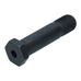 Rear Trailing Arm Bolt Early