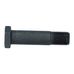 Rear Trailing Arm Bolt Early