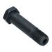 Rear Trailing Arm Bolt Early