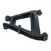 Wishbone Rear Suspension 275 4Cam