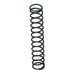 PRV Spring Early 250