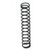 PRV Spring Early 250