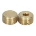 Late PRV Housing Brass Bung M18x1.5