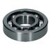 Front Cover/Water Pump Bearing