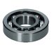 Front Cover/Water Pump Bearing